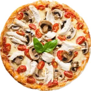 Mushroom Pizza